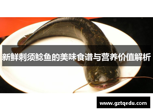 新鲜刺须鲶鱼的美味食谱与营养价值解析