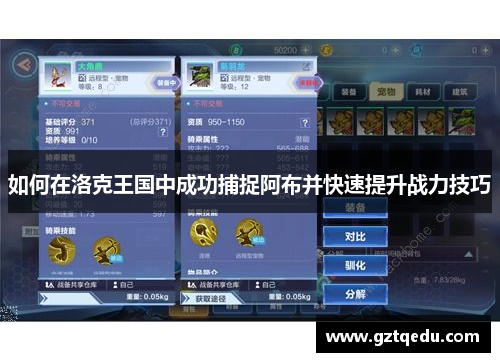如何在洛克王国中成功捕捉阿布并快速提升战力技巧