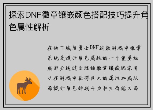 探索DNF徽章镶嵌颜色搭配技巧提升角色属性解析 探索DNF徽章镶嵌颜色搭配技巧提升角色属性解析